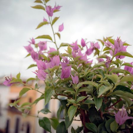 La Terrazza Dei Gemelli - Casa Vacanze ヴェノーザ エクステリア 写真